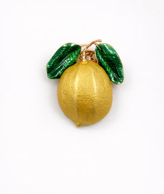 Broche aimantée Citrus jaune face