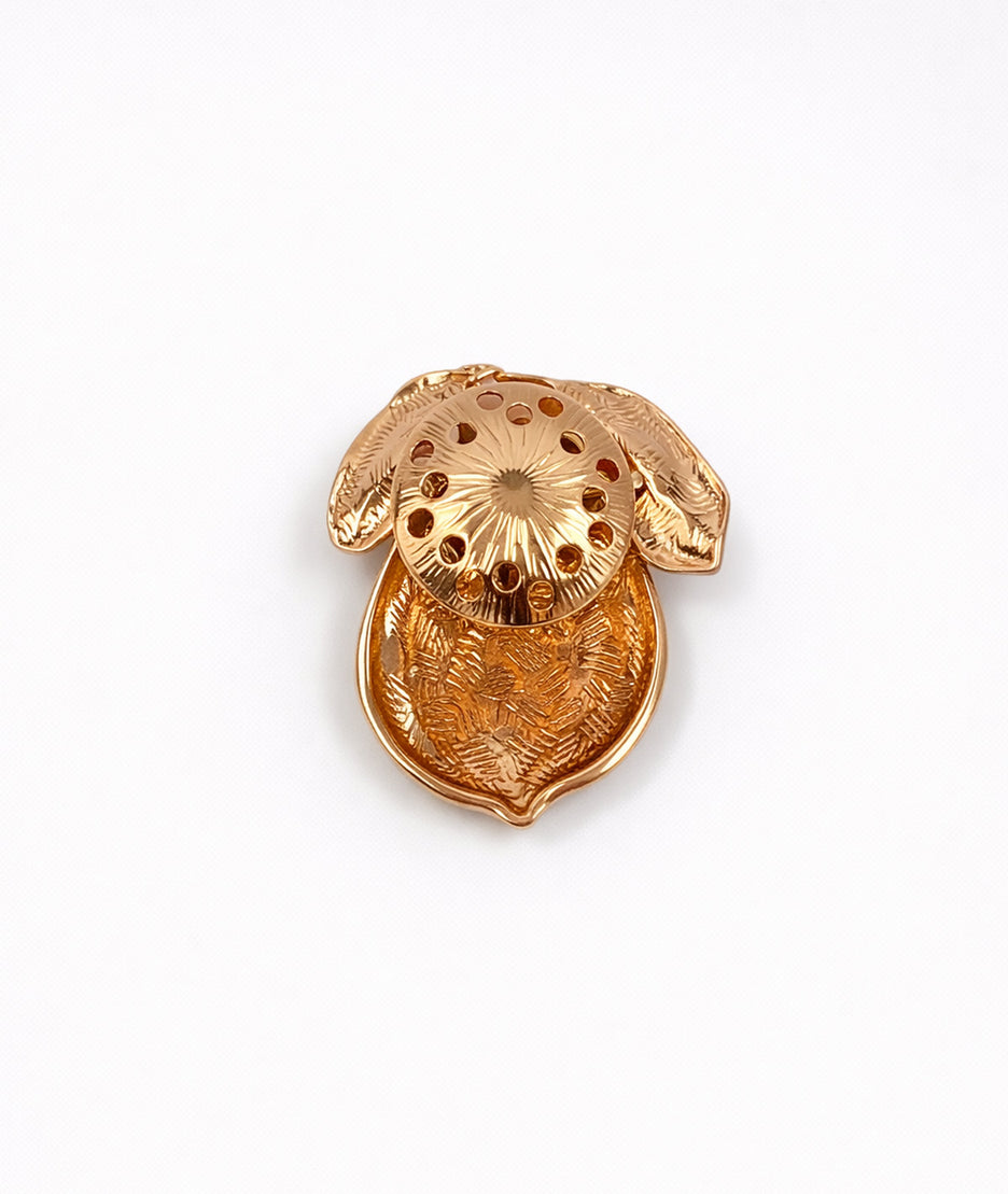 Broche aimantée Citrus vert dos