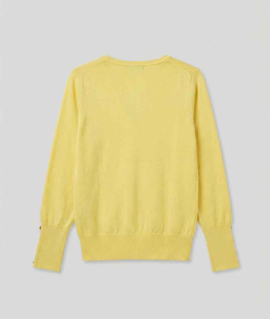 Pull col V uni jaune face arrière