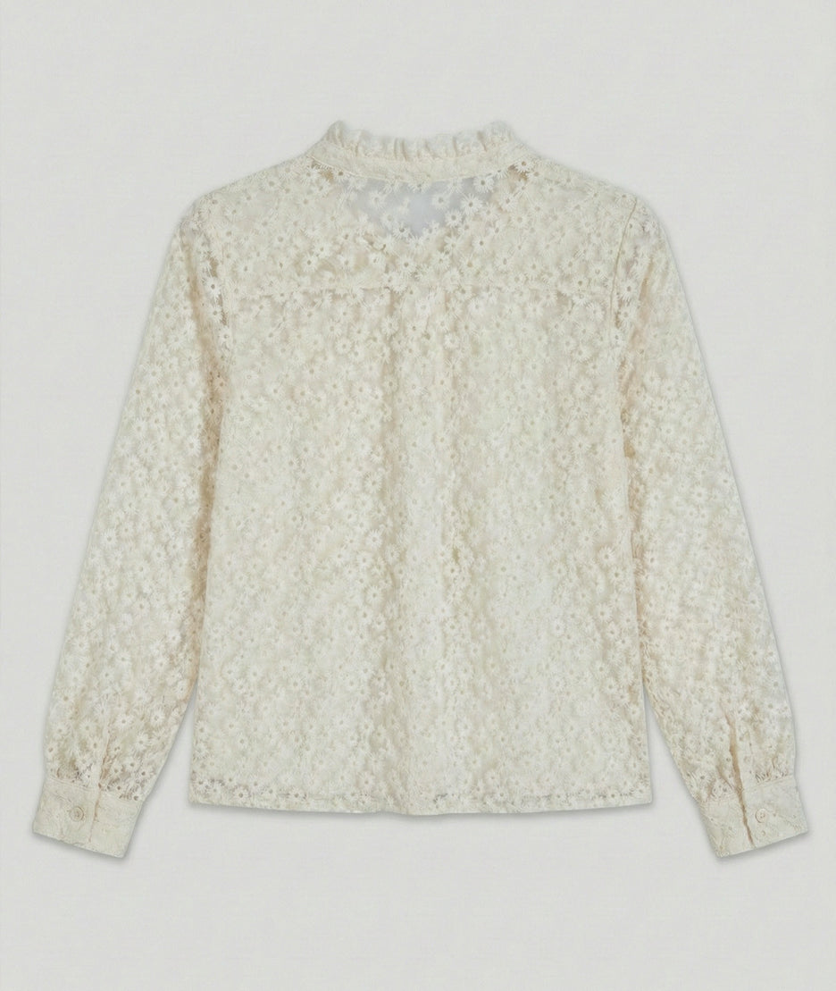 Chemise transparente à broderies Danela arrière