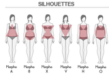 Différents types de morphologies féminines